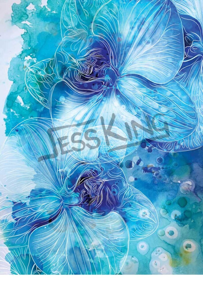 Blue Orchid digital Illustration by Jess King Artist
