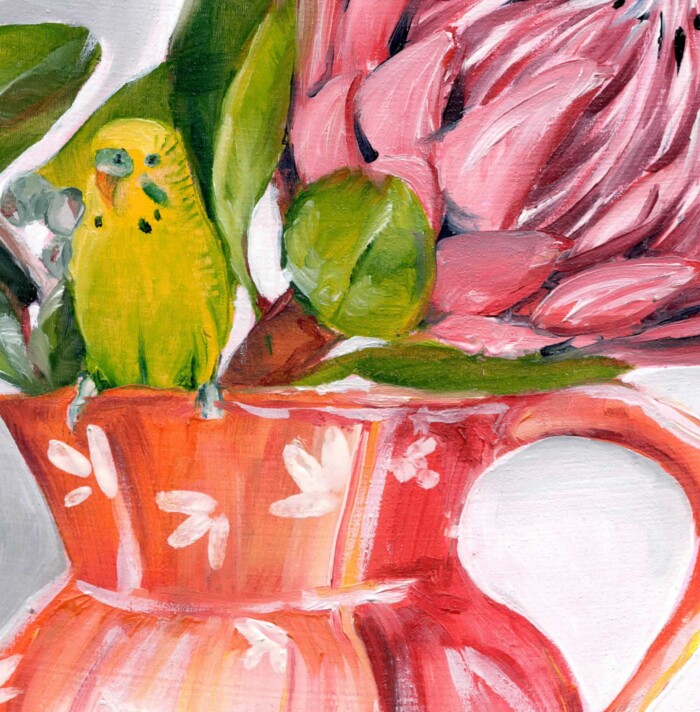 Protea and budgie still life oil painting by Jess King