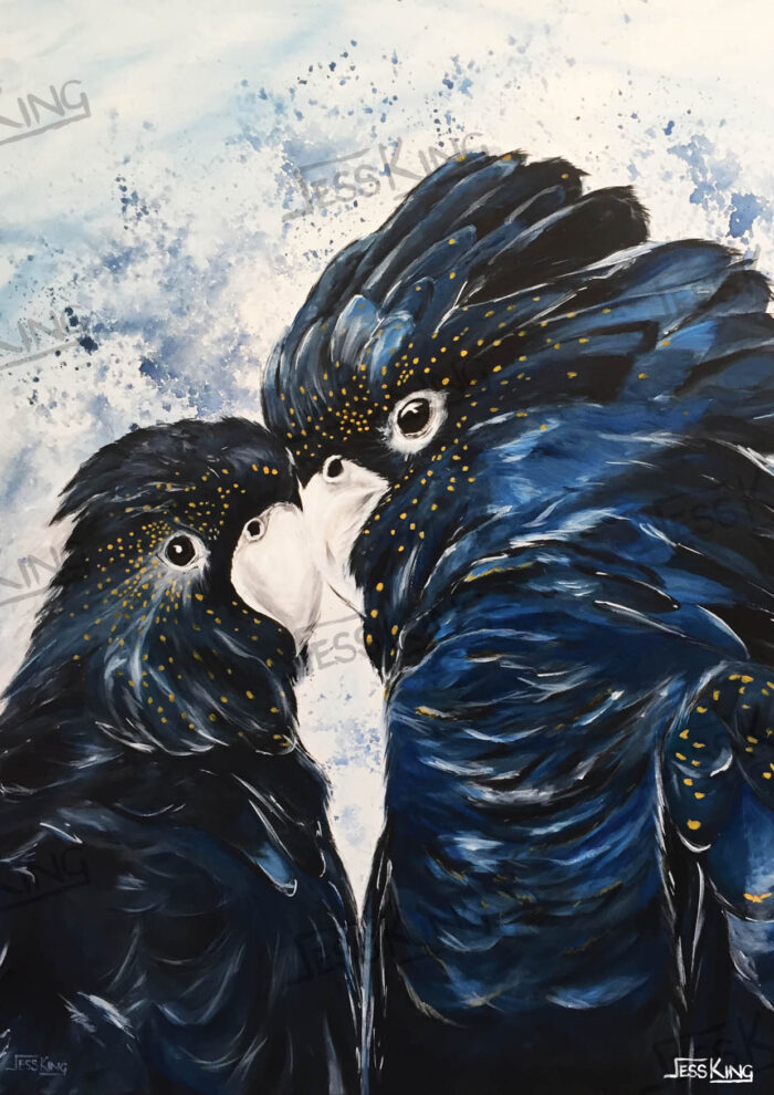 Black Cockatoo Love print from original painting by Jess King
