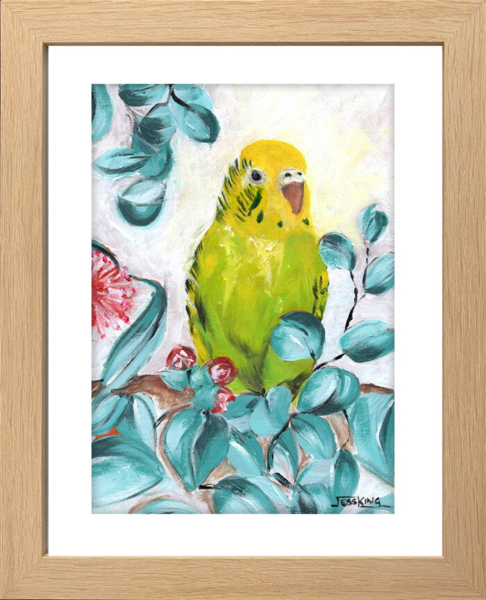 Budgie Loves Oil paining framed by Jess King