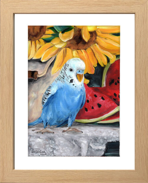 Budgie Loves Watermelon Oil paining framed by Jess King