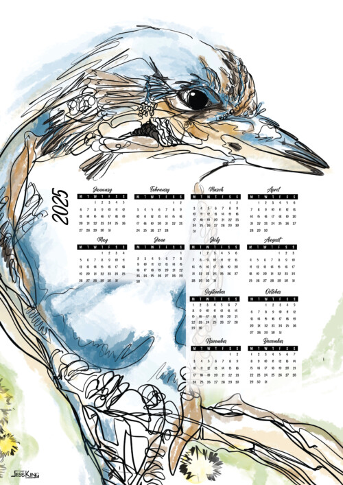 2025 Calendar Kookaburra single line A3 print by Jess King Artist