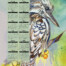 2025 Calendar Kookaburra Wattle with Alcohol Ink background A3 print by Jess King Artist