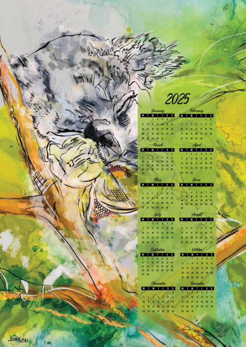 2025 Calendar Sleepy Koala A3 print by Jess King Artist