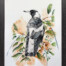 Maggie Magpie watercolour artowrk on paper, framed by Jess King Artist