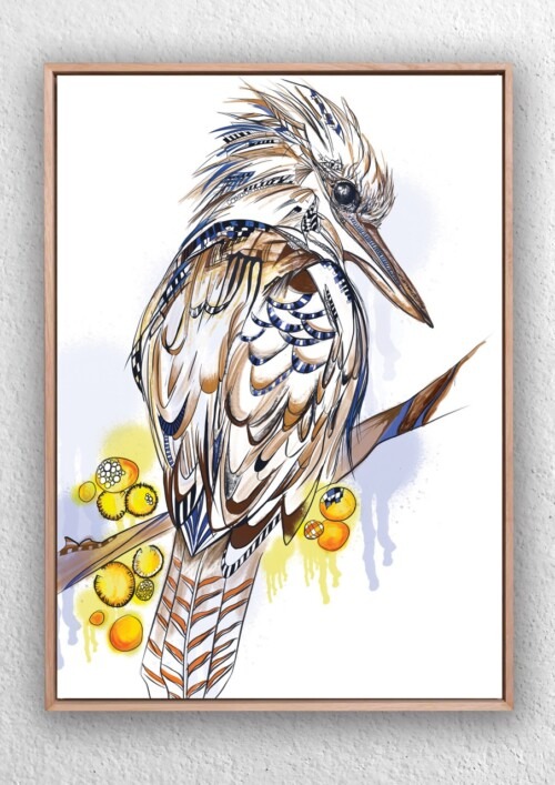 Australian Kookaburra Digital art print by Jess King Artist