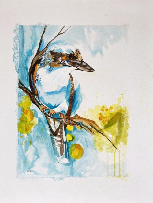 Kookaburra Wattle Australian Bird Art print by Jess King Artist