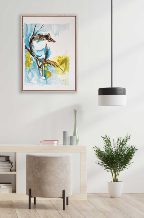 Kookaburra Wattle Australian Bird Art print by Jess King Artist