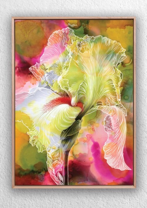 Pink Iris Abstract flower art print by Jess King Artist. Contemporary wall art print