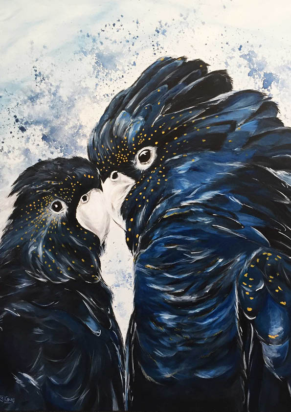 Bird and animal art prints jess king artist