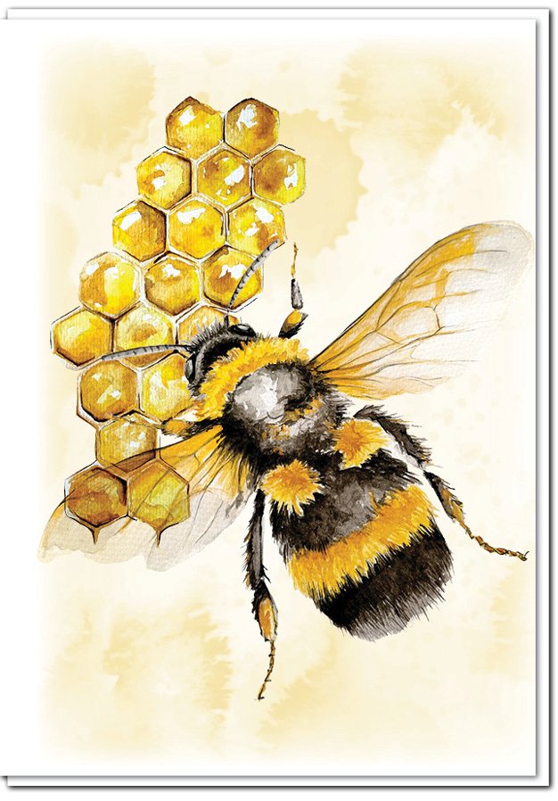 Bumblebee and honeycomb watercolour card by Jess King Art. Original artwork by Jess King